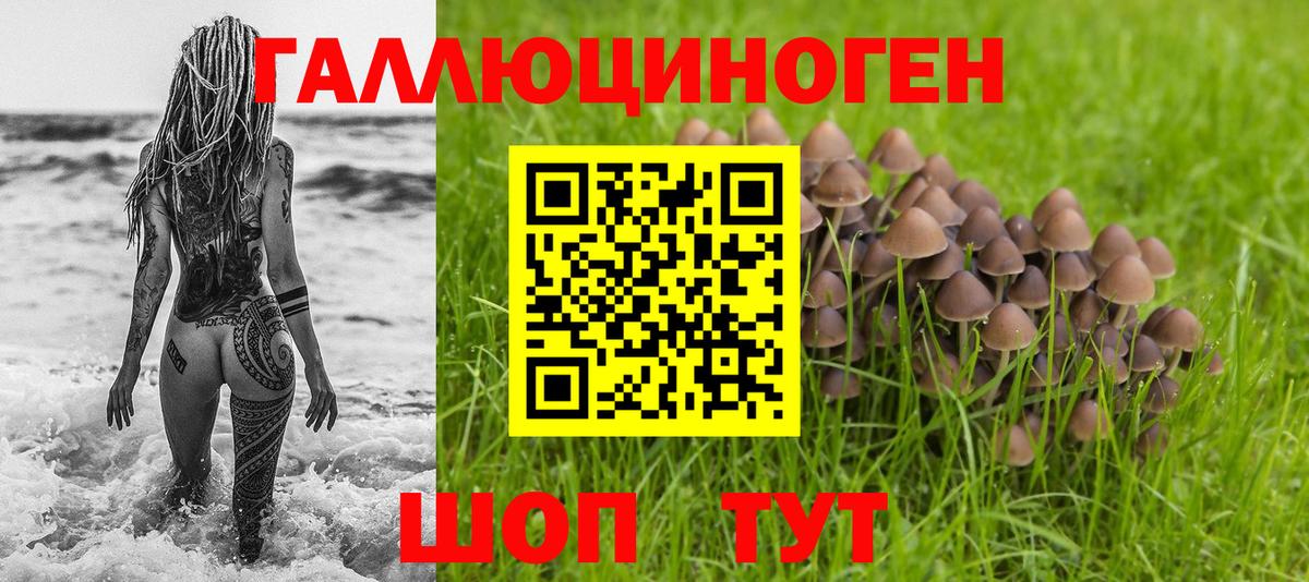 Галлюциногенные грибы прущие грибы Качканар