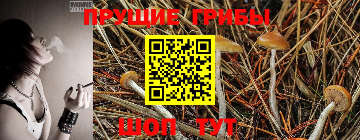 Галлюциногенные грибы Magic Shrooms  Вход с VPN  Качканар 